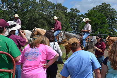 2016 Beef Unit Field Day