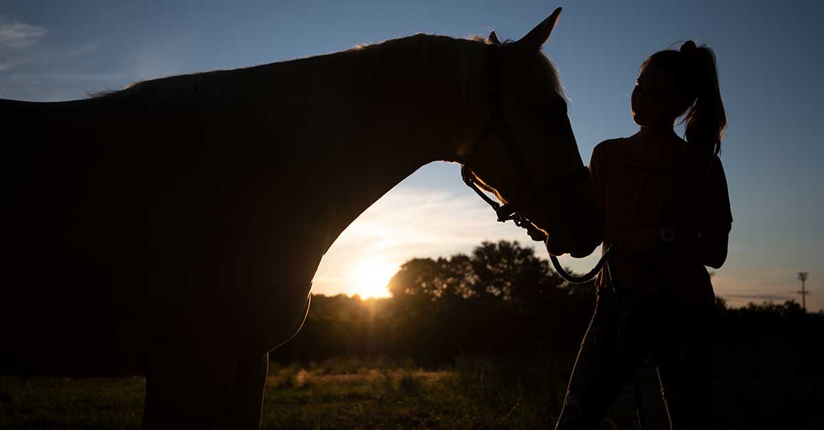 Home Animal And Dairy Sciences Mississippi State University Home Animal And Dairy Sciences Mississippi State University