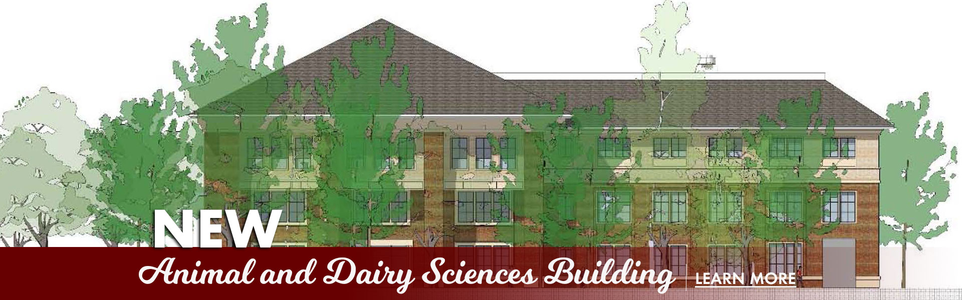 home-animal-and-dairy-sciences-mississippi-state-university